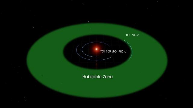 Star TOI 700 Harbors Earth-Sized Planet and More - Orbit Animation