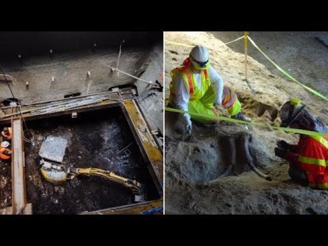 Workers Were Excavating LA’s Metro When They Uncovered The Remains Of Two Gigantic Ice Age Beasts