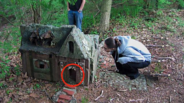 Woman Finds Tiny House In The Woods, Your Mouth Drops Open At Realization What's In It