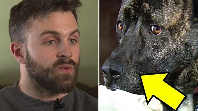 What This Pooch’s Owner Found On Her Neck Was An Eye Opener For Everyone!!