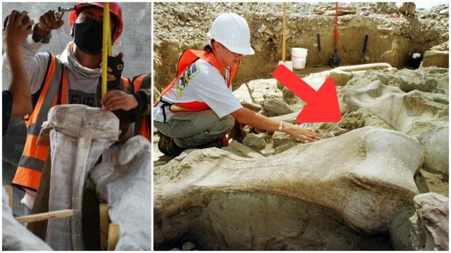 Mexican Workers Stopped In Their Tracks When They Made This Hair-Raising Discovery In The Dirt