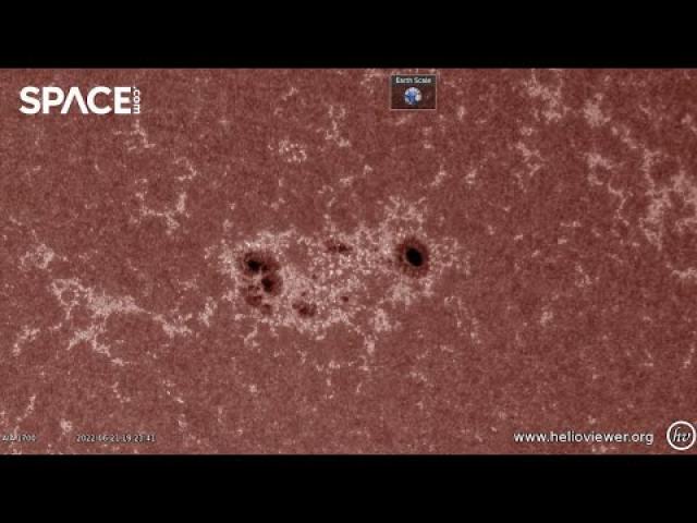 Watch a massive sunspot grow in spacecraft time-lapse