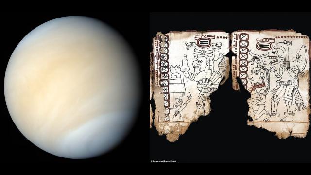Oldest known Mayan text: 1,000-year-old document that tracks the movement of Venus