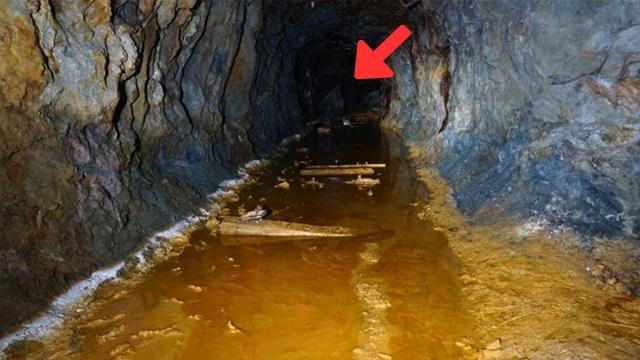 A Man Finds a Cave on His Property, Enters it And Realizes He Has Made a Big Mistake !