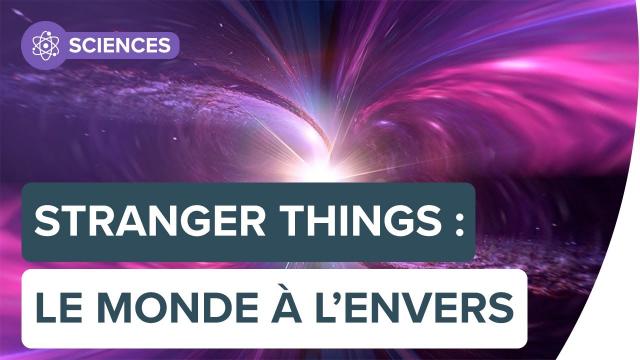 Le Monde à l'envers de Stranger Things pourrait-il exister ? | Futura