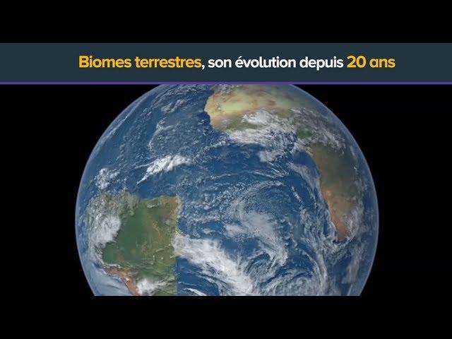 Vus de l'espace : les biomes terrestres depuis 20 ans | Futura