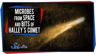 Microbes From Space and Bits of Halley's Comet