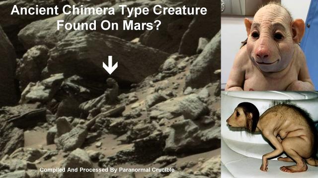 Ancient Chimera Creature Found On Mars?