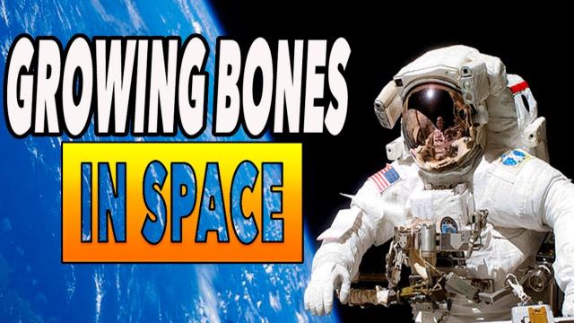 Growing Bone in Space