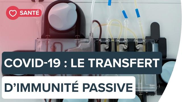 Covid-19 : le plasma convalescent, une thérapie sûre | Futura