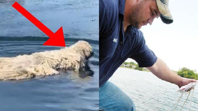 Fisherman Reels In His Catch, Then Spots The Odd Creature In His Net