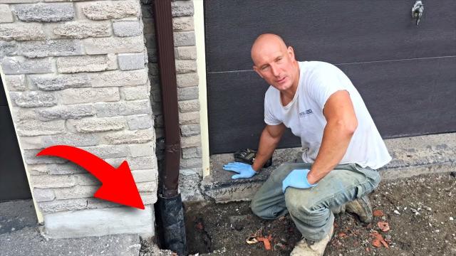 Man Kept Hearing Strange Noises Under Driveway, Look What He Found Inside