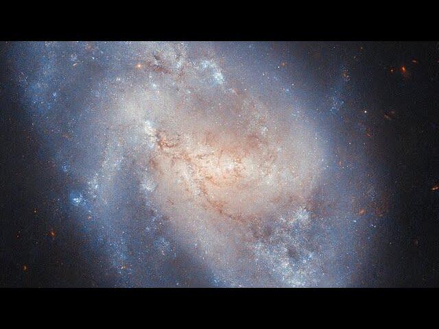 Pan: NGC 337