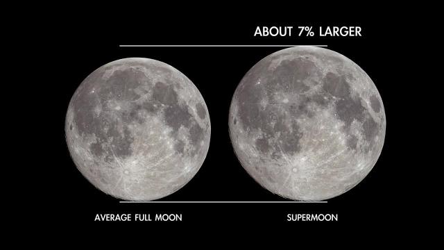 Super Blue Moon in Aug. 2023! Everything you need to know