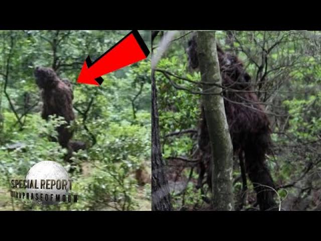 BIGFOOT! Clearest Evidence Of Baby Bigfoot! Buckle-UP! 2022