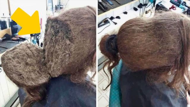 Girl refuses to comb her hair until hairdresser discovers something shocking in her hair