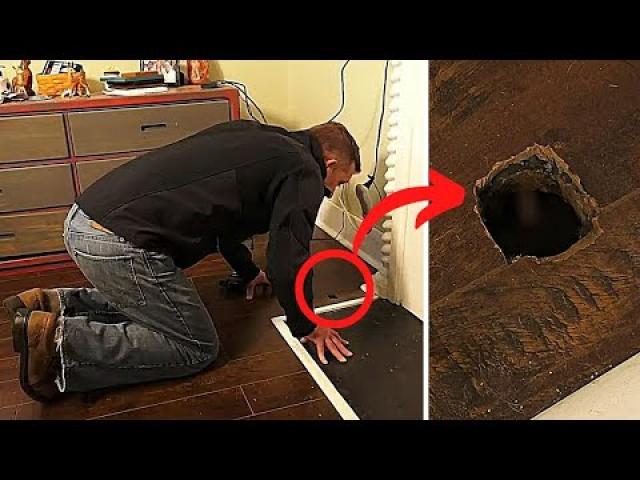 Man Investigating Strange Noise In His House Finds An Unlikely Sight