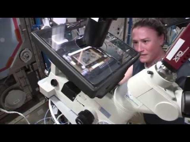 Cancer Therapy Experiment on Space Station Explained by Astronaut