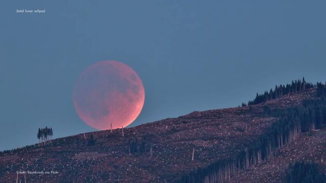 Lunar eclipse, planets, Pleiades & the Moon in Nov. 2021 skywatching