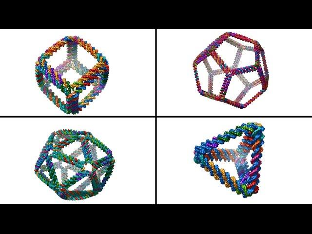 Complex 3-D DNA structures