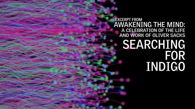 Excerpt from Awakening the Mind: Searching for Indigo