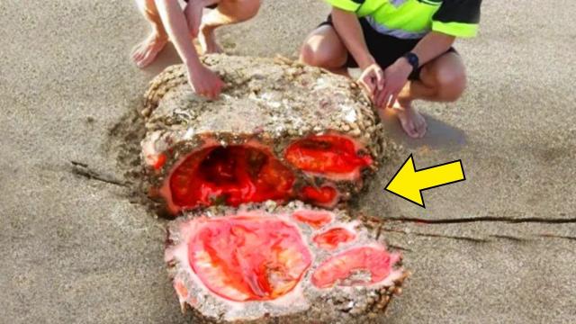 Tourist Finds Strange Stone At Beach - He Gets Arrested When He Does This