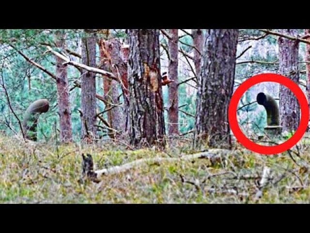 Woman Hears Noise Underground In Woods, Stops Cold When She Realizes What It Is